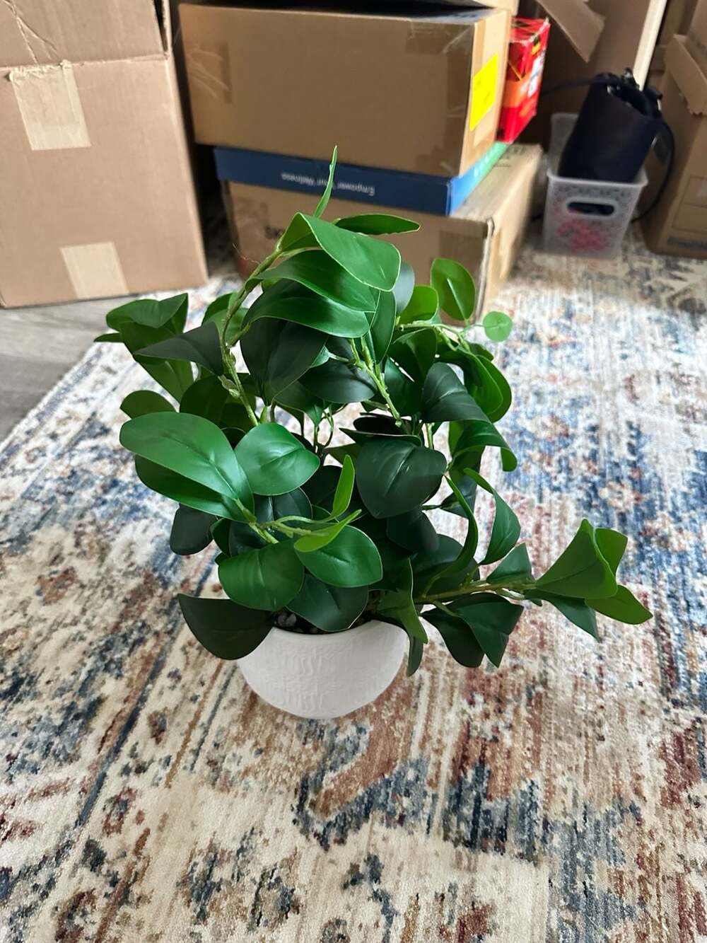 Ewtogift 19" Artificial Ficus Plant with White Textured Ceramic Pot